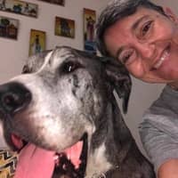 Photo de profil du pet sitter : Sophie A.