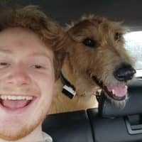 Sitter Profile Image: Jordan D.