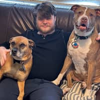 Sitter Profile Image: Tyler L.