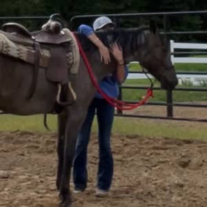 Sitter Profile Image: alix s.