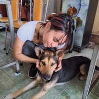 Sitter Profile Image: Cynthia T.