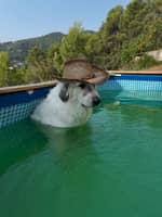 Foto del cuidador: Borys S.