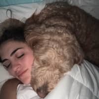 Sitter Profile Image: Paloma W.