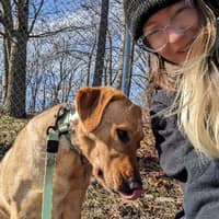 Sitter Profile Image: Meg L.