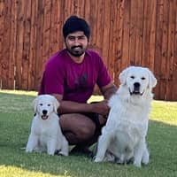 Sitter Profile Image: Siva krishna V.