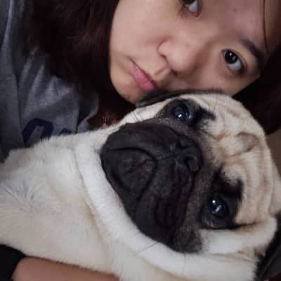 Sitter Profile Image: Mantao X.