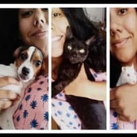 Sitter Profile Image: Maitê A.