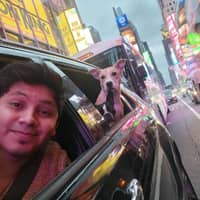 Sitter Profile Image: Mauricio C.