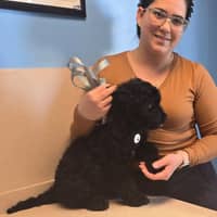 Sitter Profile Image: Maria G.