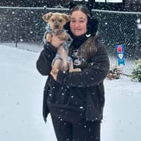 Sitter Profile Image: Abigail H.