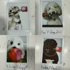 Image 0