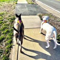 Sitter Profile Image: Doren M.