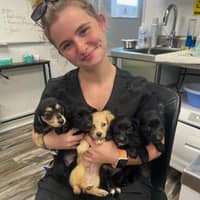 Sitter Profile Image: Maya S.