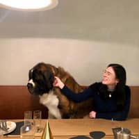 Sitter Profile Image: Valerie J.