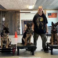 Sitter Profile Image: Jamie C.