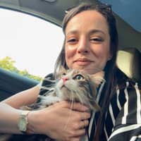 Sitterprofilbild: Safaa A.