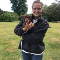 Sitter Profile Image: Rosanna H.