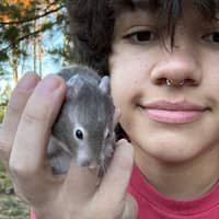 Sitter Profile Image: Jade W.