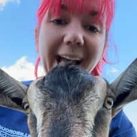 Sitter Profile Image: Stephanie S.