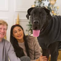 Sitter Profile Image: Tien-An C.