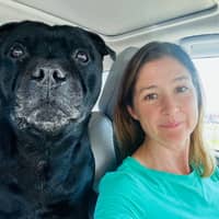 Sitter Profile Image: Michelle H.