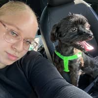 Sitter Profile Image: Alexis J.