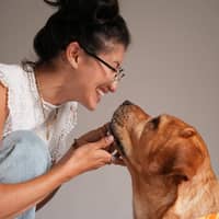 Sitter Profile Image: Dulce L.