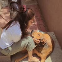 Sitter Profile Image: Srushti P.