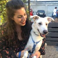 Immagine del profilo del sitter: Elisa P.