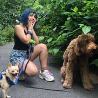 Sitter Profile Image: Dylan C.