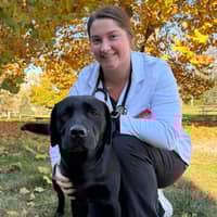 Sitter Profile Image: Jasslee S.