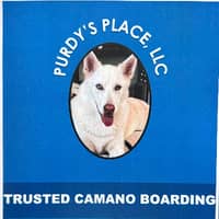 Sitter Profile Image: Issac F.