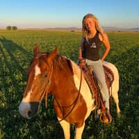 Sitter Profile Image: Mitzi S.