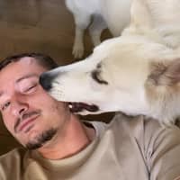 Photo de profil du pet sitter : Sacha G.