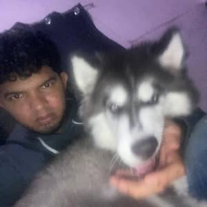 Sitter Profile Image: Pedro Luis B.