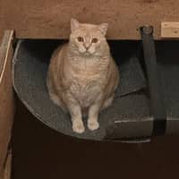 Sitter Profile Image: Amanda M.