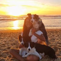 Photo de profil du pet sitter : Maïlys D.