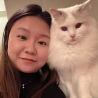 Sitter Profile Image: Mo Han L.