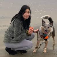 Sitter Profile Image: Trenady G.