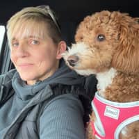 Sitter Profile Image: Heather P.