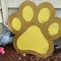 Sitter Profile Image: Kimberly M.