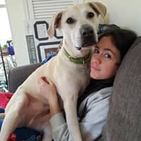 Sitter Profile Image: Lauren Z.