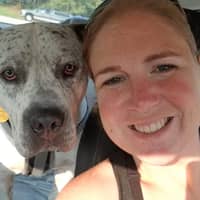 Sitter Profile Image: Amanda H.