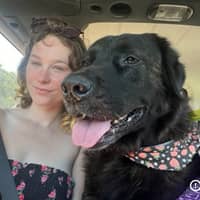 Sitter Profile Image: Ashley D.