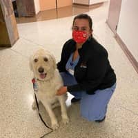 Sitter Profile Image: Bethany B.