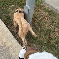 Sitter Profile Image: Malie R.