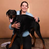 Photo de profil du pet sitter : lisa C.