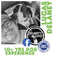 Sitter Profile Image: Lucas D.