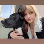 Sitter Profile Image: Sara C.