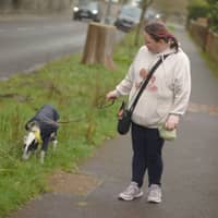 Sitter Profile Image: Tasha P.